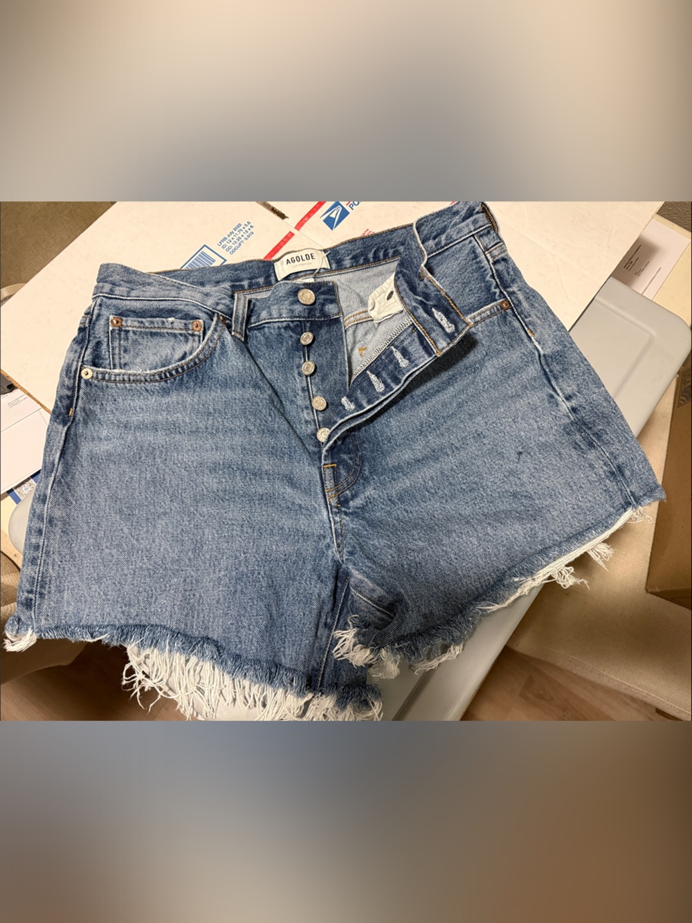 Agolde Light Blue High-Rise Button-Fly Frayed Denim Shorts